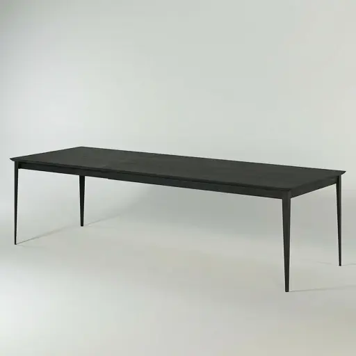 KAS0110-3O / 1 Rallonge 80 cm